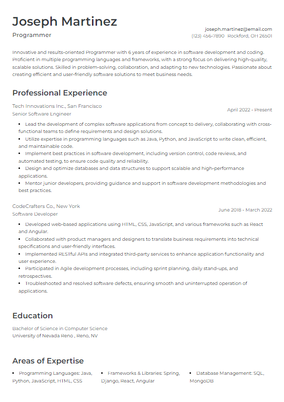 Resume Template 7