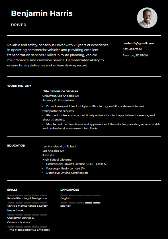 Resume Template 17