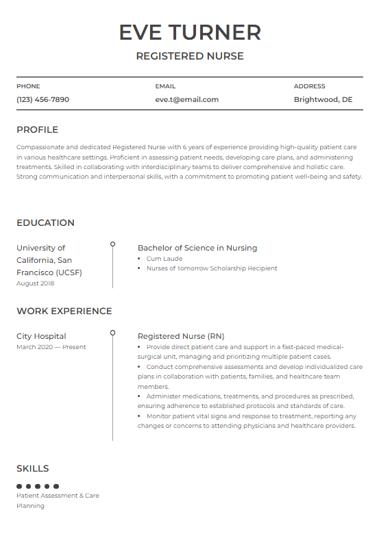 Resume Template 11