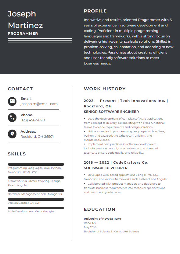 Resume Template 15